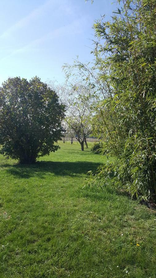 Gite Le Campagnard Saint-Germain-Des-Bois  Exterior foto